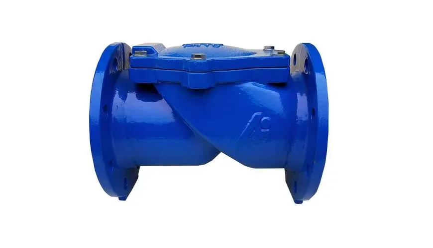 อ่านเพิ่มเติมเกี่ยวกับ Check Valve Assy